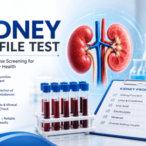 Kidney Profile Test